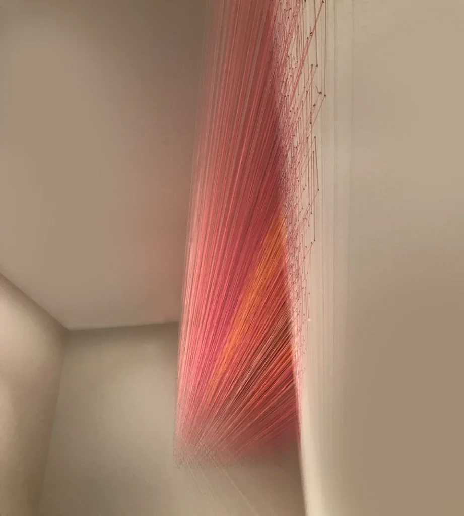 Anne Lindberg Installation
